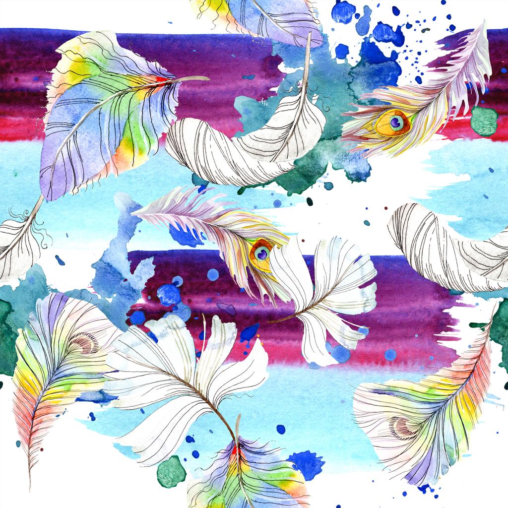 Colorful bird feather from wing isolated. Watercolor background illustration set. Watercolour drawing fashion aquarelle isolated. Seamless background pattern. Fabric wallpaper print texture. - Photo, Image