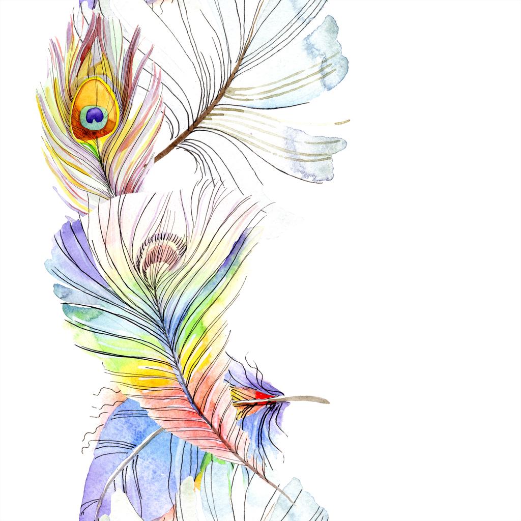 Kleurrijke vogel veren van vleugel geïsoleerd. Aquarel achtergrond afbeelding instellen. Aquarel tekenen mode aquarelle geïsoleerd. Naadloze achtergrondpatroon. Structuur behang print textuur. - Foto, afbeelding