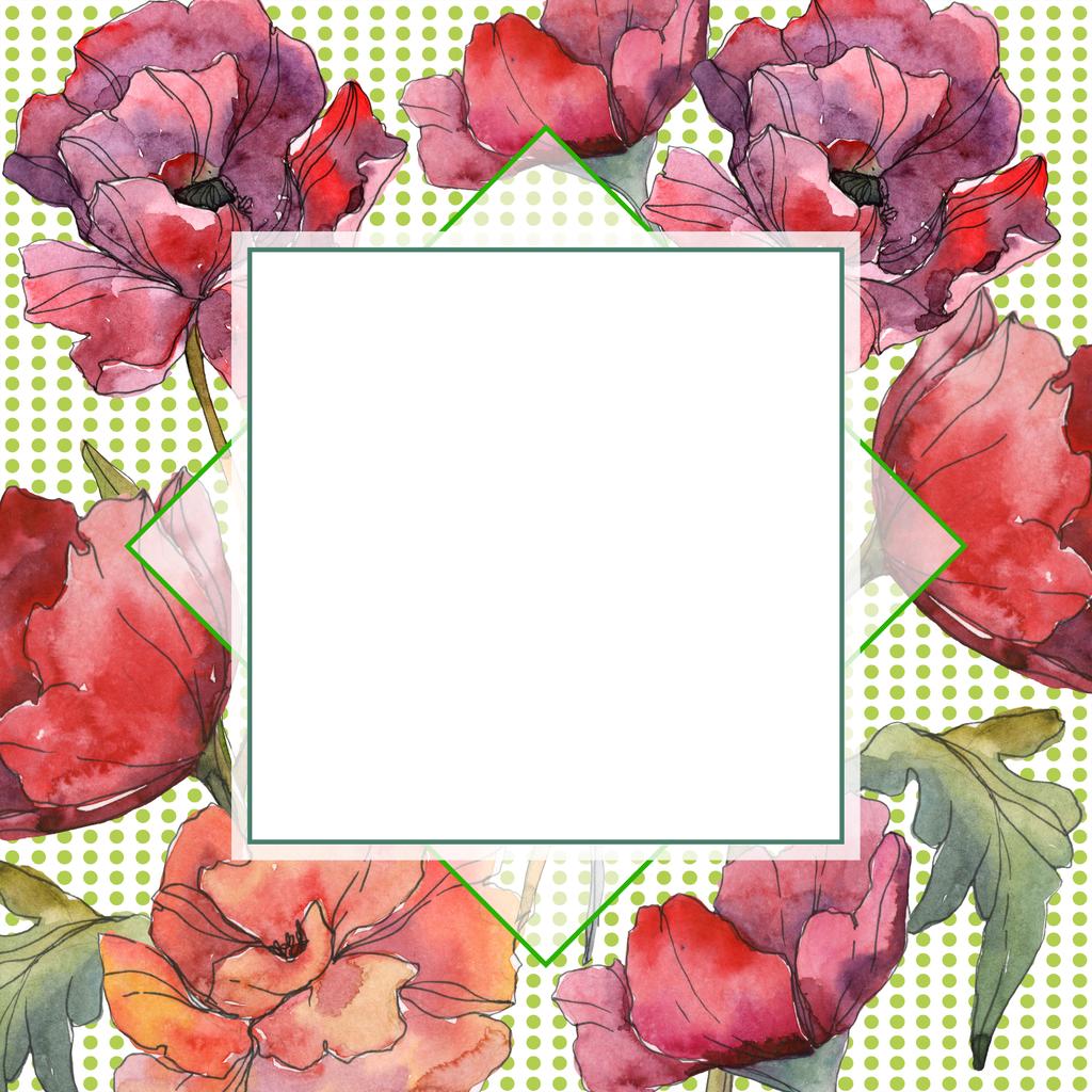 赤いポピーの花植物花。野生春葉のワイルドフラワーが分離されました。水彩画背景イラスト セット。水彩描画のファッション aquarelle 分離します。フレーム枠飾りスクエア. - 写真・画像