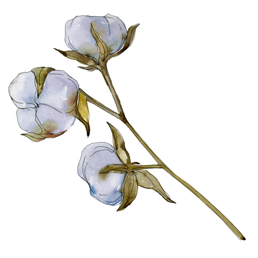 Witte katoenen bloemen botanische bloem. Wild voorjaar blad wildflower. Aquarel achtergrond afbeelding instellen. Aquarel tekenen mode aquarelle geïsoleerd. Geïsoleerde katoen afbeelding element. - Foto, afbeelding