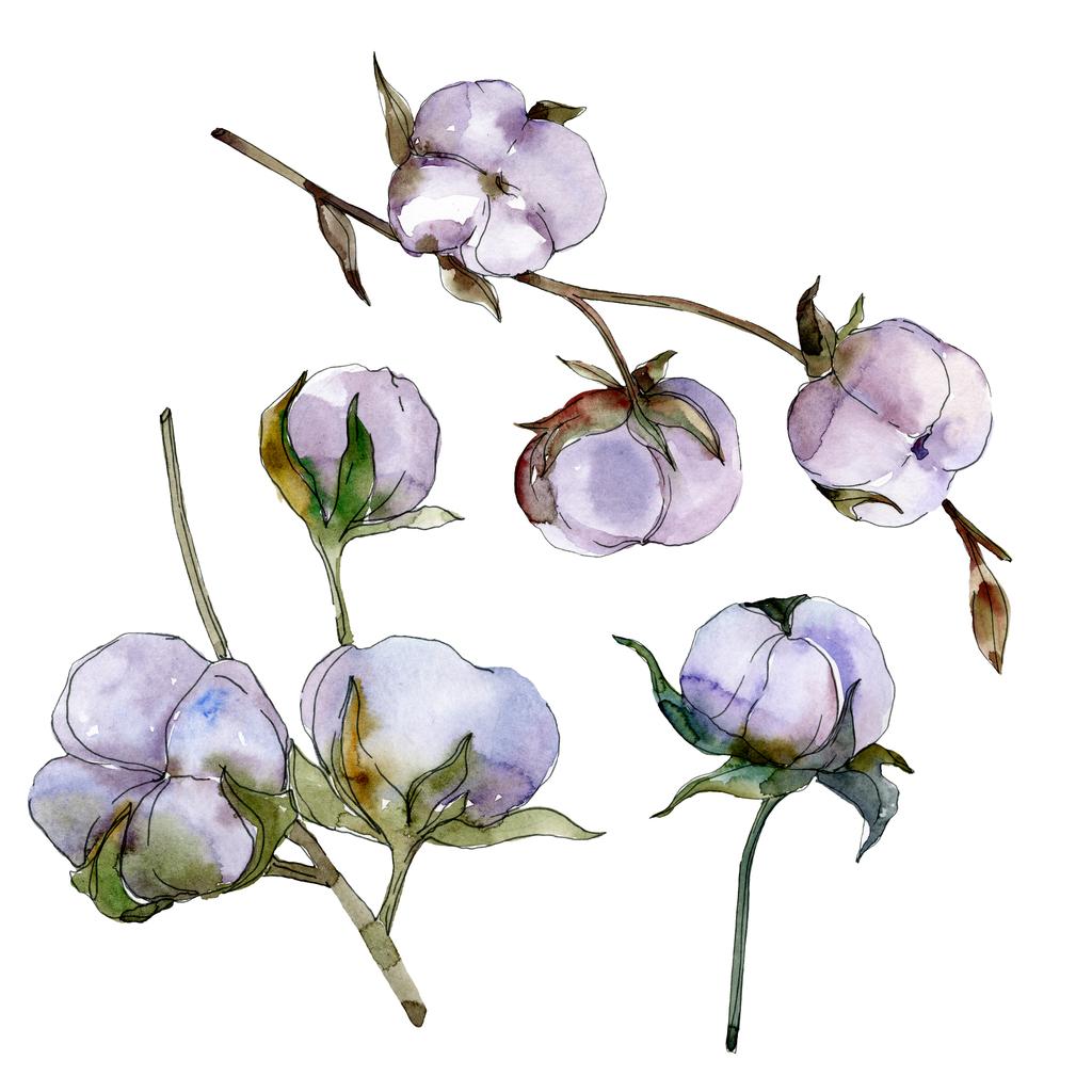 Purple cotton isolated on white. Watercolor background illustration set. - Photo, Image