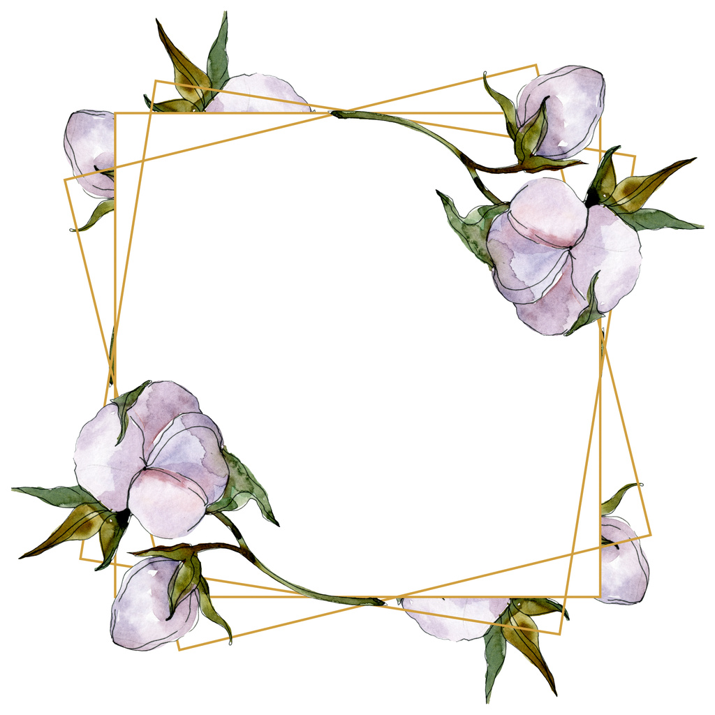 Βαμβάκι λουλούδια σετ ακουαρέλας εικονογράφηση. Πλαίσιο συνόρων στολίδι με αντίγραφο χώρου.  - Φωτογραφία, εικόνα