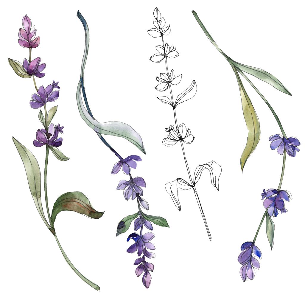 Purple lavender. Watercolor illustration set. Seamless background pattern. Fabric wallpaper print texture. - Photo, Image