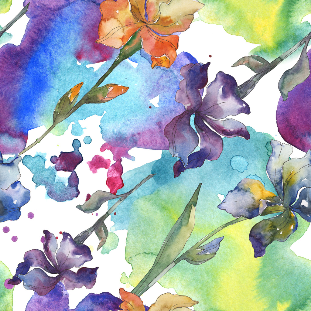 Fleur botanique florale iris violet, rouge, orange et bleu. Ensemble de fond aquarelle. Aquarelle dessin mode aquarelle. Modèle de fond sans couture. Texture d'impression papier peint tissu
. - Photo, image