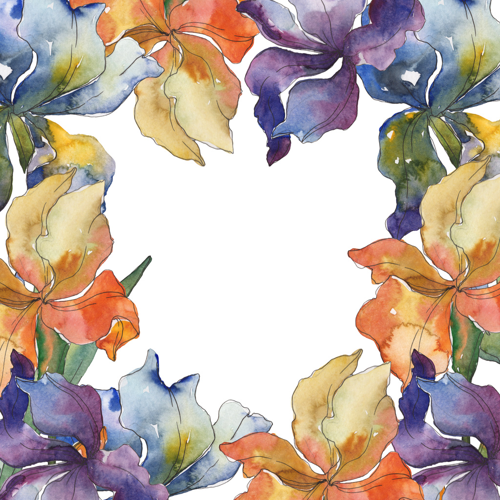 Paars, rood, oranje en blauw irissen floral botanische bloem. Wild voorjaar blad wildflower. Aquarel achtergrond instellen. Aquarel tekenen mode aquarelle geïsoleerd. Frame grens ornament vierkant. - Foto, afbeelding