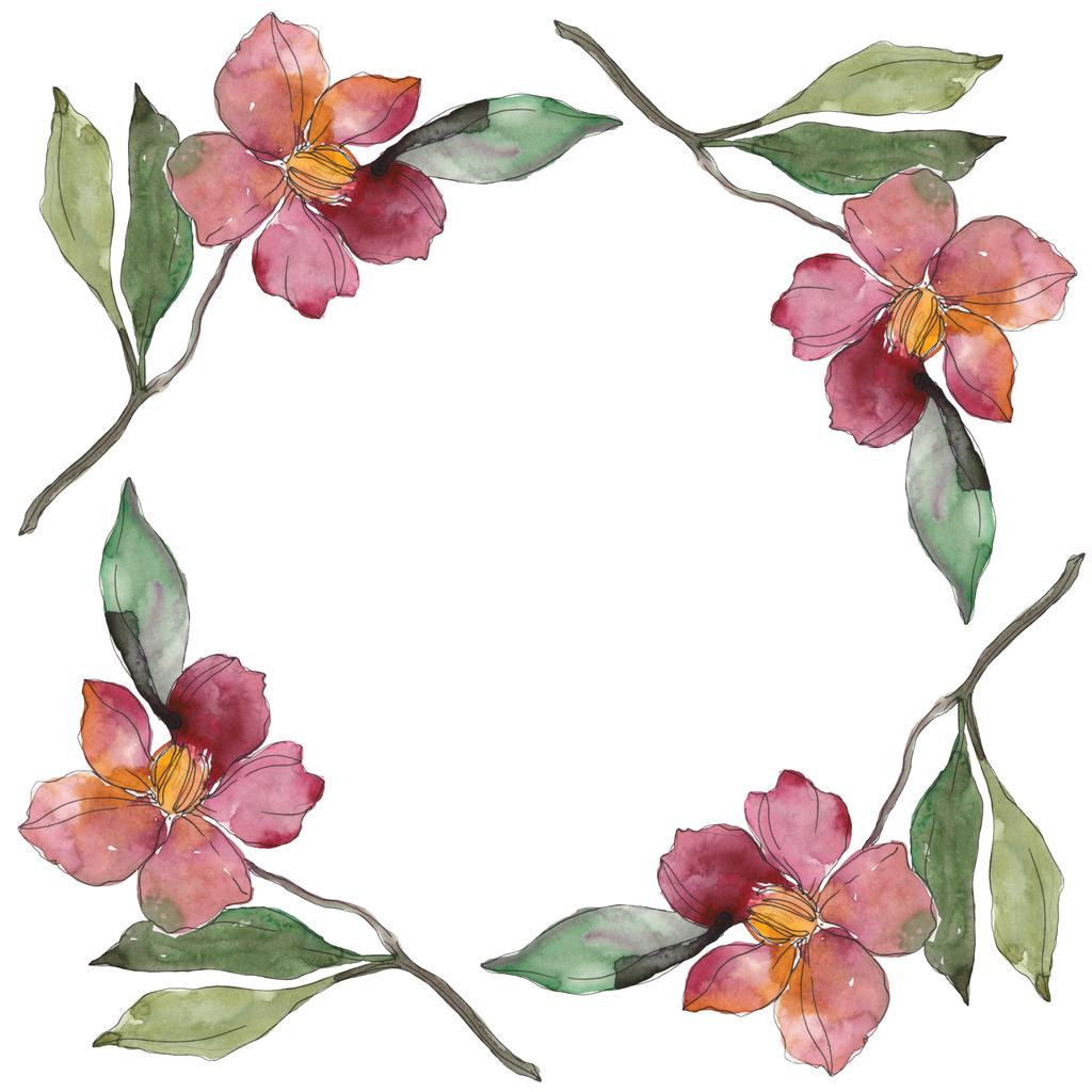 Camellia czerwone i purpurowe kwiaty. Zestaw ilustracji tle akwarela. Ornament rama granicy z miejsca kopii. - Zdjęcie, obraz