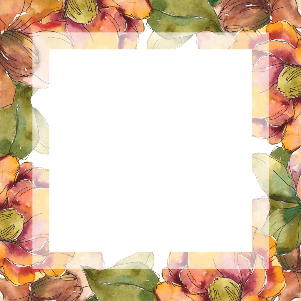 Fleurs de camélia isolées rouges et orange avec des fleurs vertes. Ensemble d'illustration aquarelle. Cadre bordure ornement carré avec espace de copie
. - Photo, image