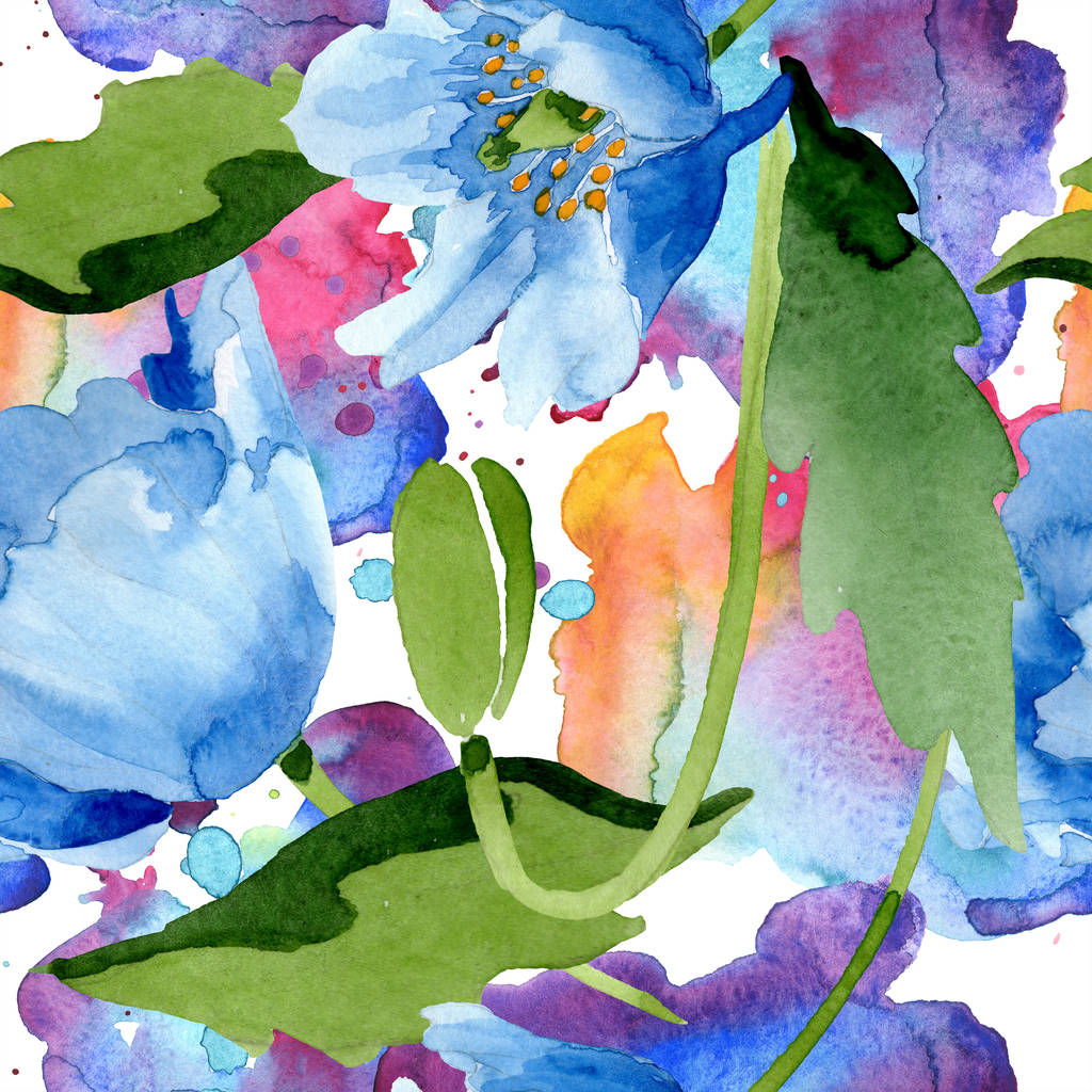 Amapolas azules con hojas aisladas en blanco. Juego de ilustración en acuarela
.  - Foto, imagen