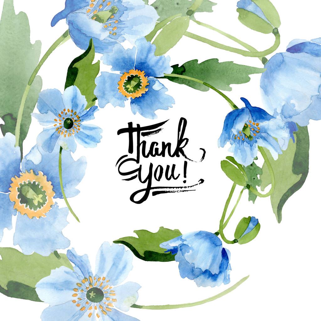 青いケシの花 葉や芽ありがとうの文字が白で隔離 水彩イラスト セット ロイヤリティフリー写真 画像素材