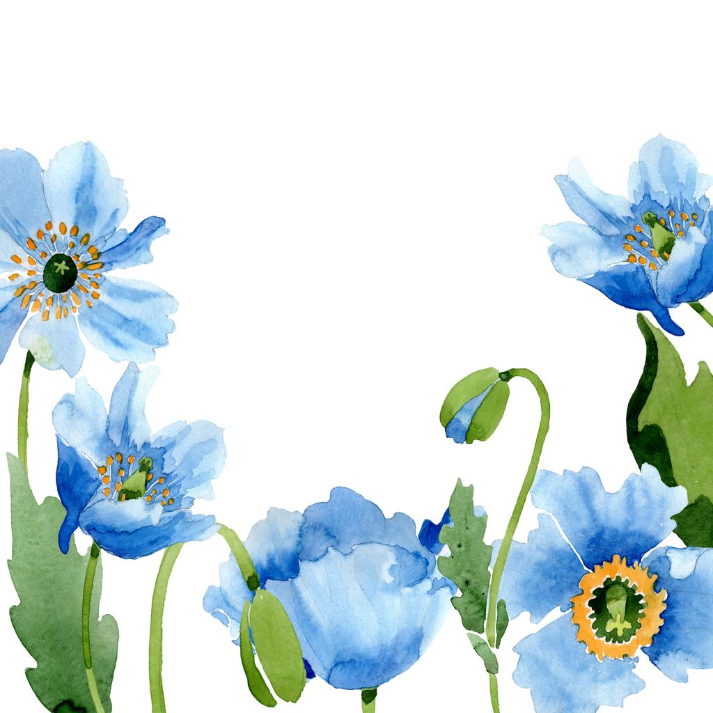 Blue poppies, leaves and buds isolated on white. Watercolor illustration set. Frame border ornament. - Photo, Image