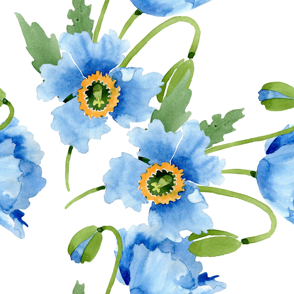 Amapolas azules, hojas y brotes aislados en blanco. Acuarela ilustración fondo sin costuras
.  - Foto, Imagen