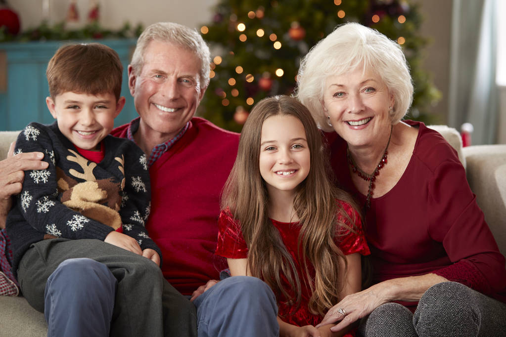 Retrato de abuelos con nietos sentados en el sofá en el salón en casa el día de Navidad
 - Foto, imagen