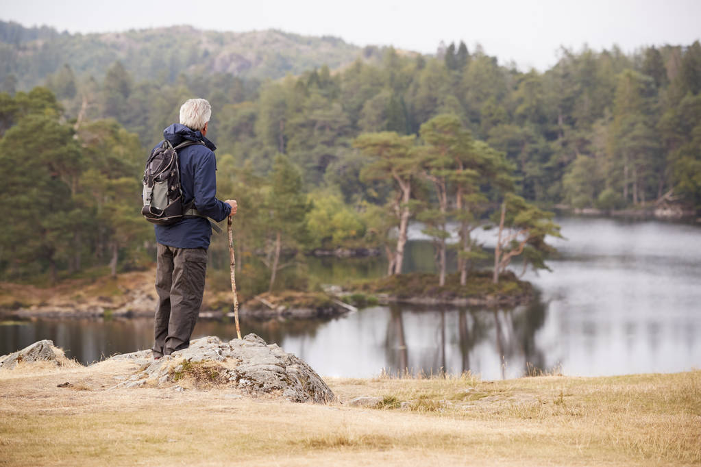 Middle aged man standing on a rock admiring the view of a lake, back view, Lake District, UK - Photo, Image