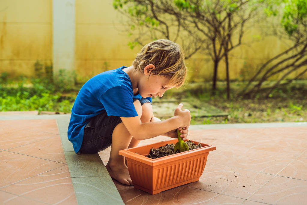 Μικρό χαριτωμένο αγόρι σπέρνει σπόρους σε μια γλάστρα στον κήπο - Φωτογραφία, εικόνα