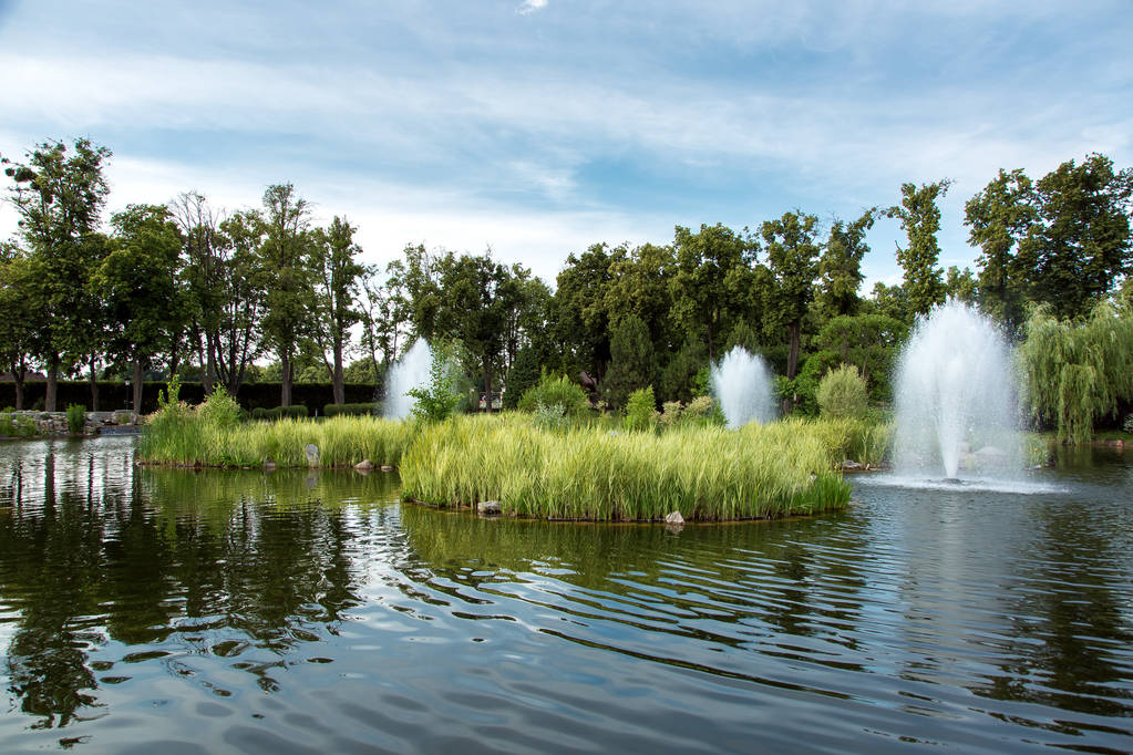 un estanque decorativo con pequeñas islas con juncos y fuentes en el centro del lago en el fondo son árboles de hoja caduca altos contra el cielo
. - Foto, Imagen