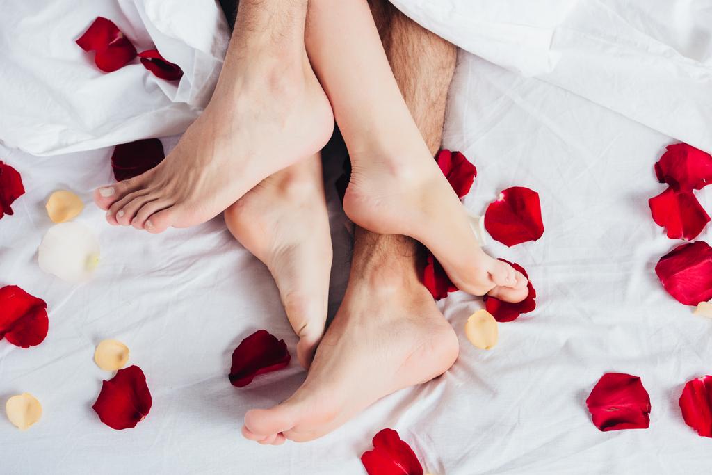 vista parcial de una pareja descalza acostada sobre una suave cama blanca con pétalos rojos
  - Foto, imagen