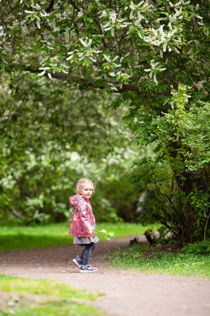 Το μικρό χαριτωμένο κορίτσι πεζοπορία το καλοκαίρι στο πάρκο, Υπαίθριος - Φωτογραφία, εικόνα