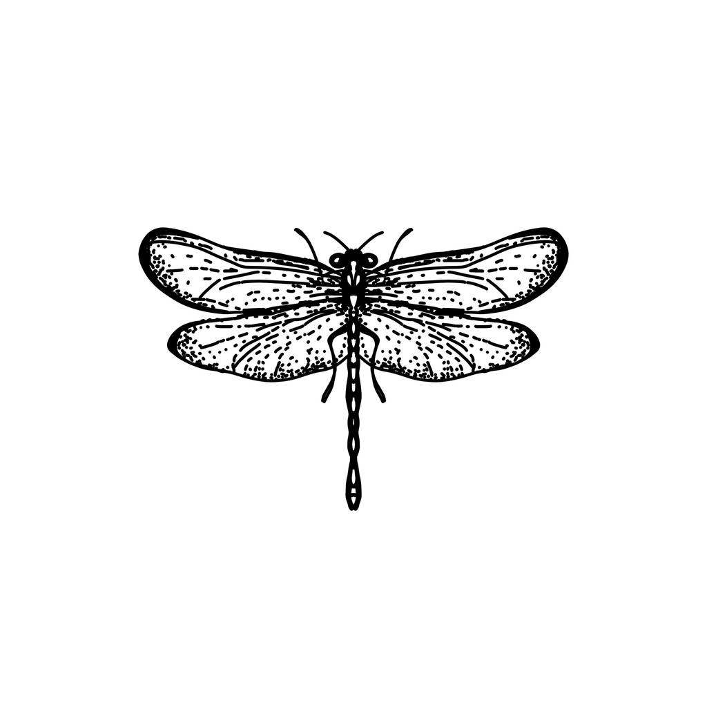 Dragonfly tekening geïsoleerd op witte achtergrond - Foto, afbeelding