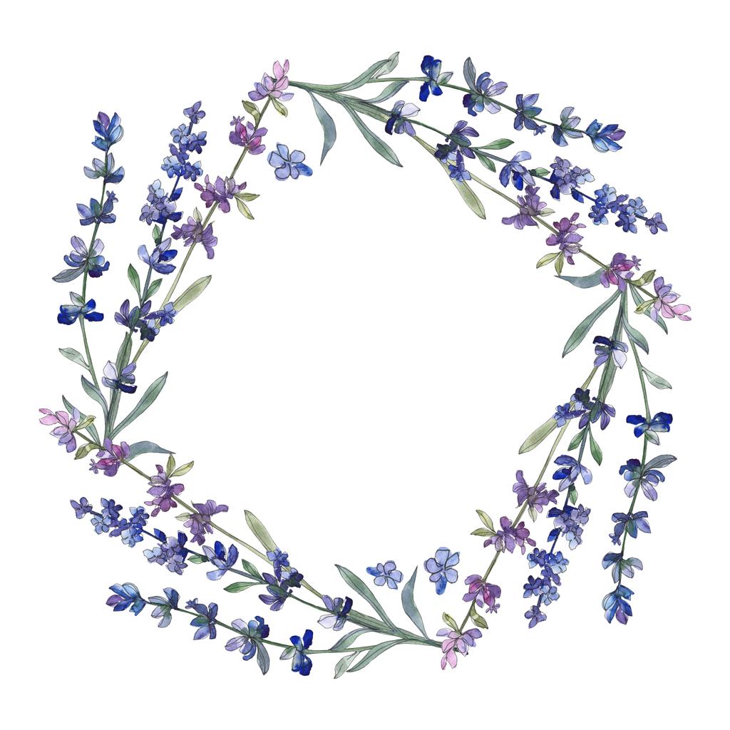 紫のラベンダー 花植物の花 野生春葉のワイルドフラワーが分離されました 水彩画背景イラスト セット 水彩描画のファッション Aquarelle 分離します フレーム枠飾りスクエア ロイヤリティフリー写真 画像素材