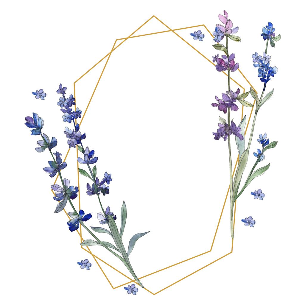 紫のラベンダー 花植物の花 野生春葉のワイルドフラワーが分離されました 水彩画背景イラスト セット 水彩描画のファッション Aquarelle 分離します フレーム枠飾りスクエア ロイヤリティフリー写真 画像素材