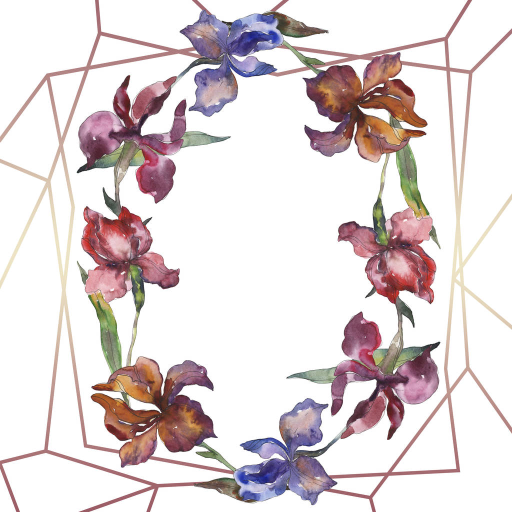 Purplr ahd rode irissen floral botanische bloem. Wild voorjaar blad wildflower. Aquarel achtergrond afbeelding instellen. Aquarel tekenen mode aquarelle geïsoleerd. Frame grens ornament vierkant. - Foto, afbeelding