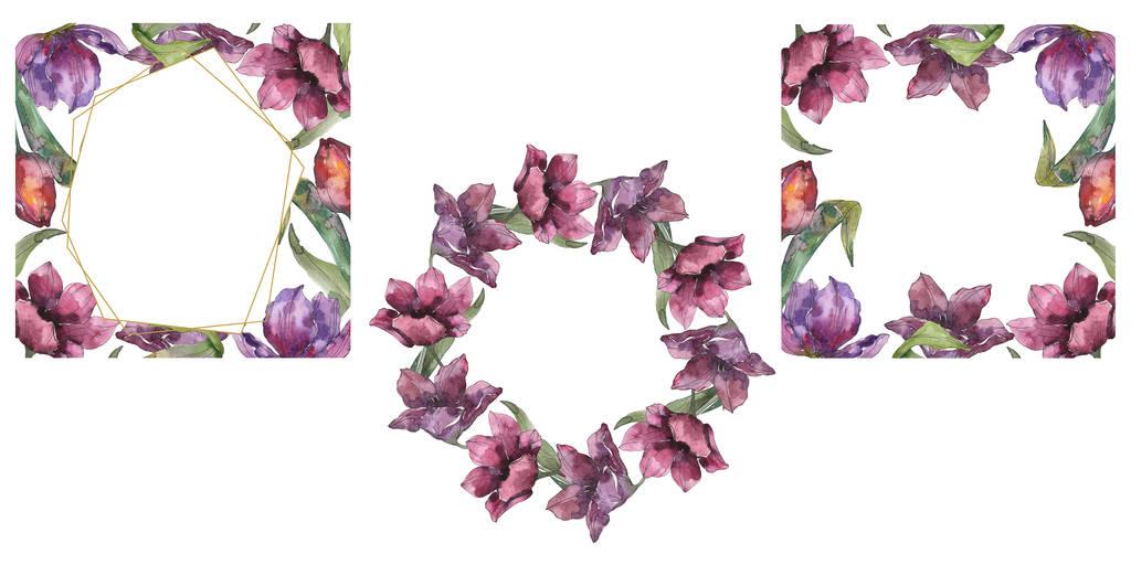 Fiori botanici floreali di tulipano viola. Fiore selvatico primaverile isolato. Acquerello sfondo illustrazione set. Acquerello disegno moda acquerello isolato. Quadrato ornamento bordo cornice
. - Foto, immagini