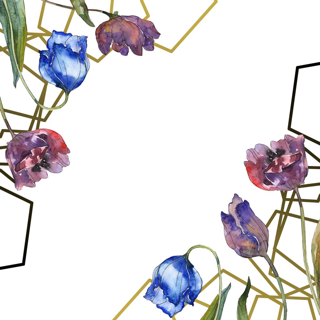 Tulipanes púrpura y azul conjunto de ilustración de fondo acuarela. Marco ornamento borde con espacio de copia
. - Foto, imagen