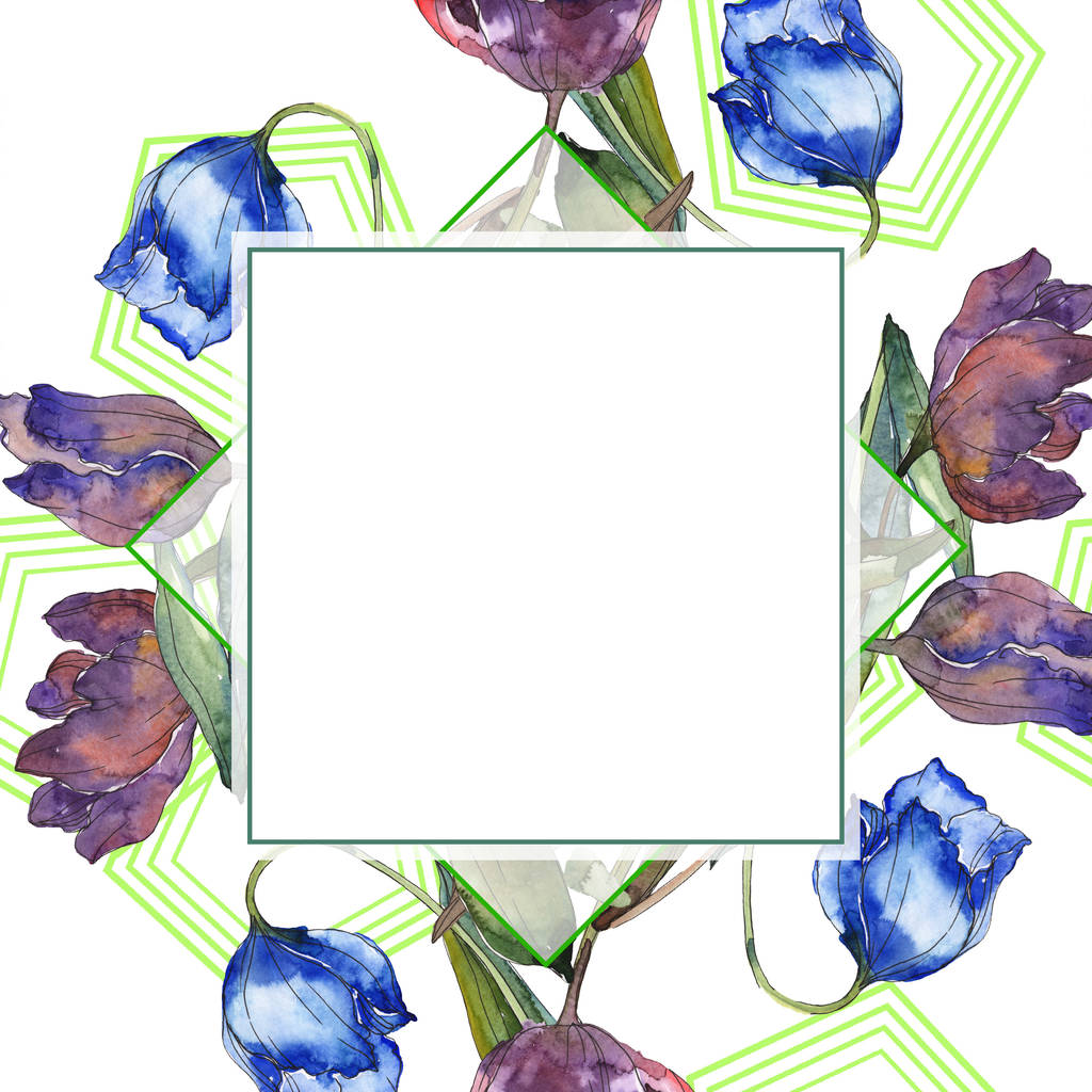 Violetti ja sininen tulppaanit vesiväri tausta kuvitus asettaa. Kehyksen reunus koriste kopio tilaa
. - Valokuva, kuva