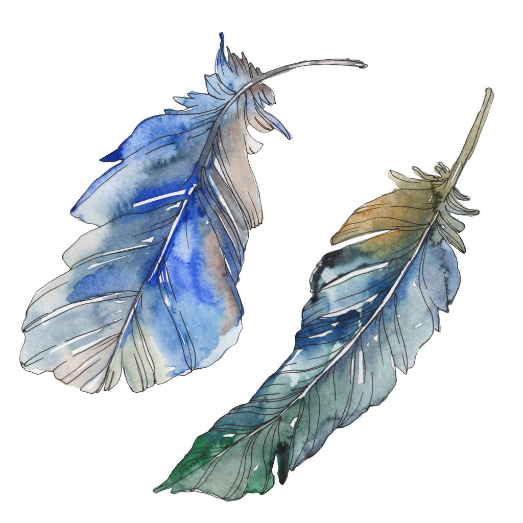 分離された翼から鳥の羽 水彩画背景イラスト セット 水彩描画のファッション Aquarelle 分離します 孤立した羽の図要素 ロイヤリティフリー写真 画像素材