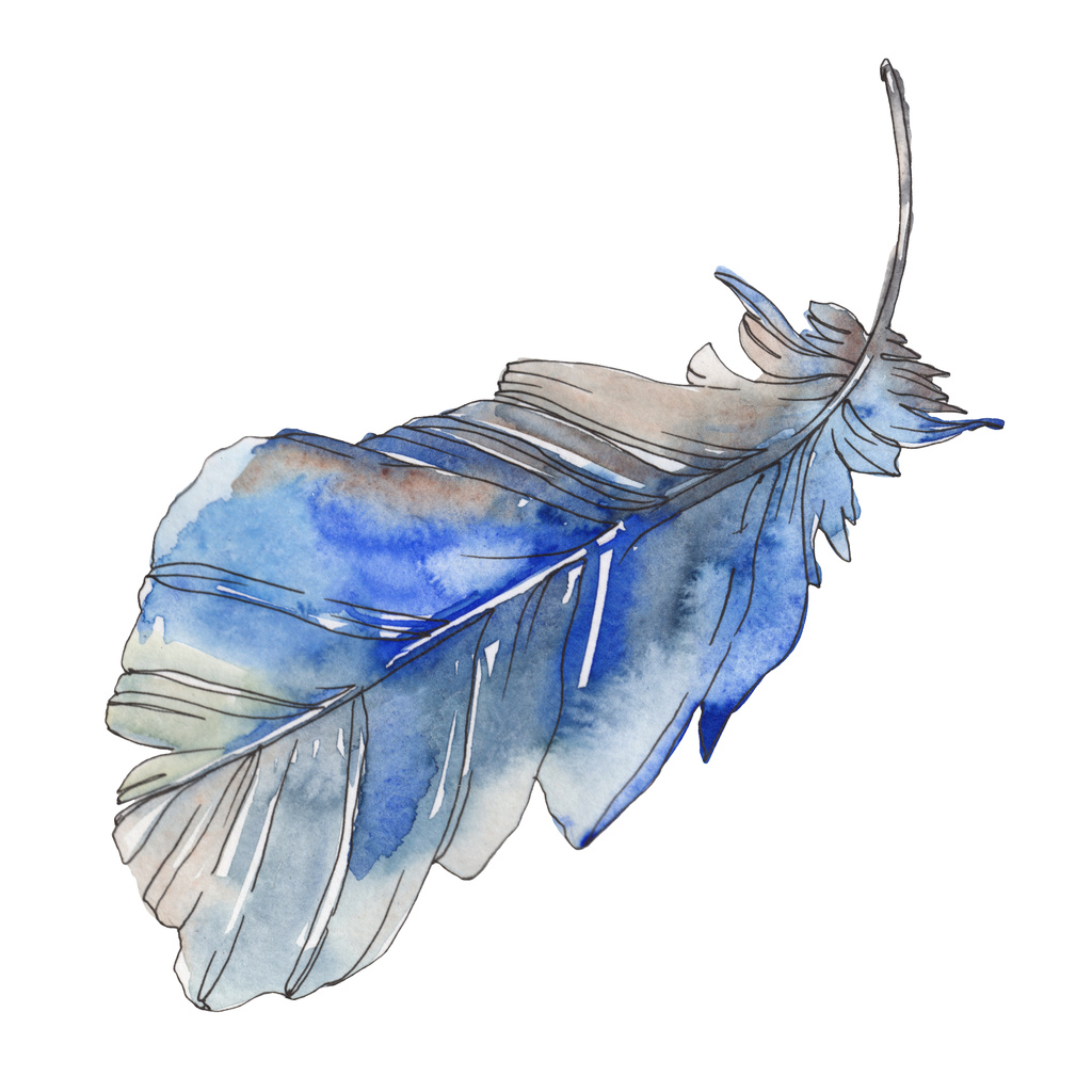 Bird feather from wing isolated. Watercolor background illustration set. Watercolour drawing fashion aquarelle isolated. Isolated feather illustration element. - Photo, Image