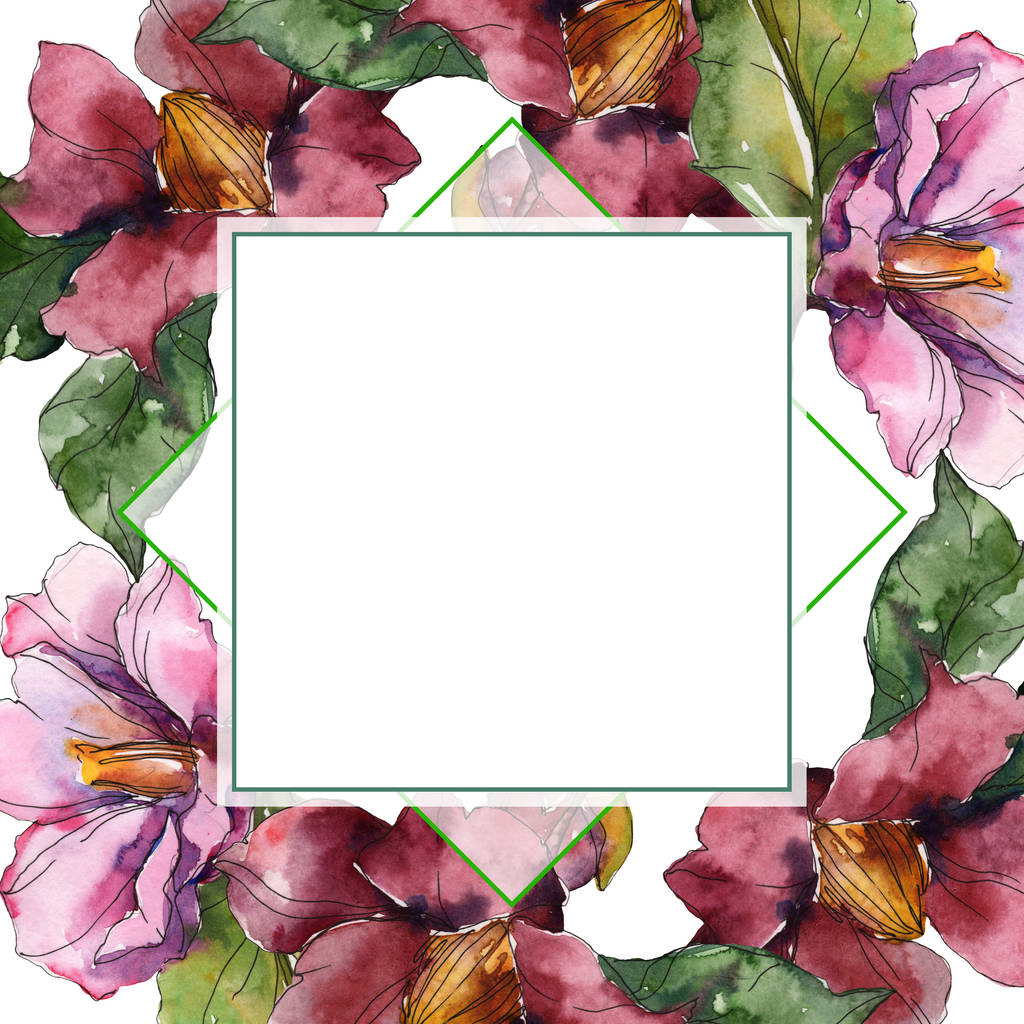 Camellia rode en paarse bloemen. Aquarel achtergrond afbeelding instellen. Frame grens sieraad met kopie ruimte. - Foto, afbeelding