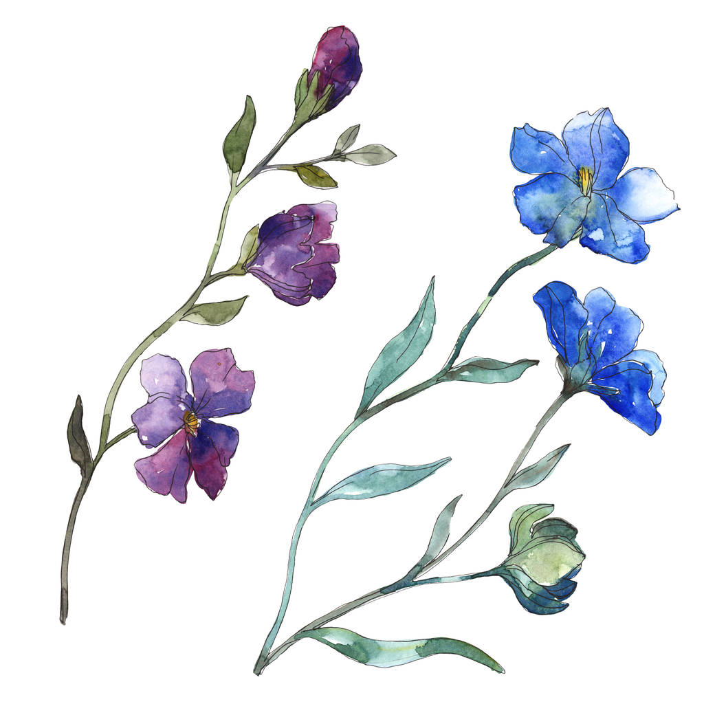 Kék lila len floral botanikus virág. Vad tavaszi levél vadvirág elszigetelt. Akvarell háttér illusztráció készlet. Akvarell rajz divat aquarelle. Elszigetelt len ábra elem. - Fotó, kép
