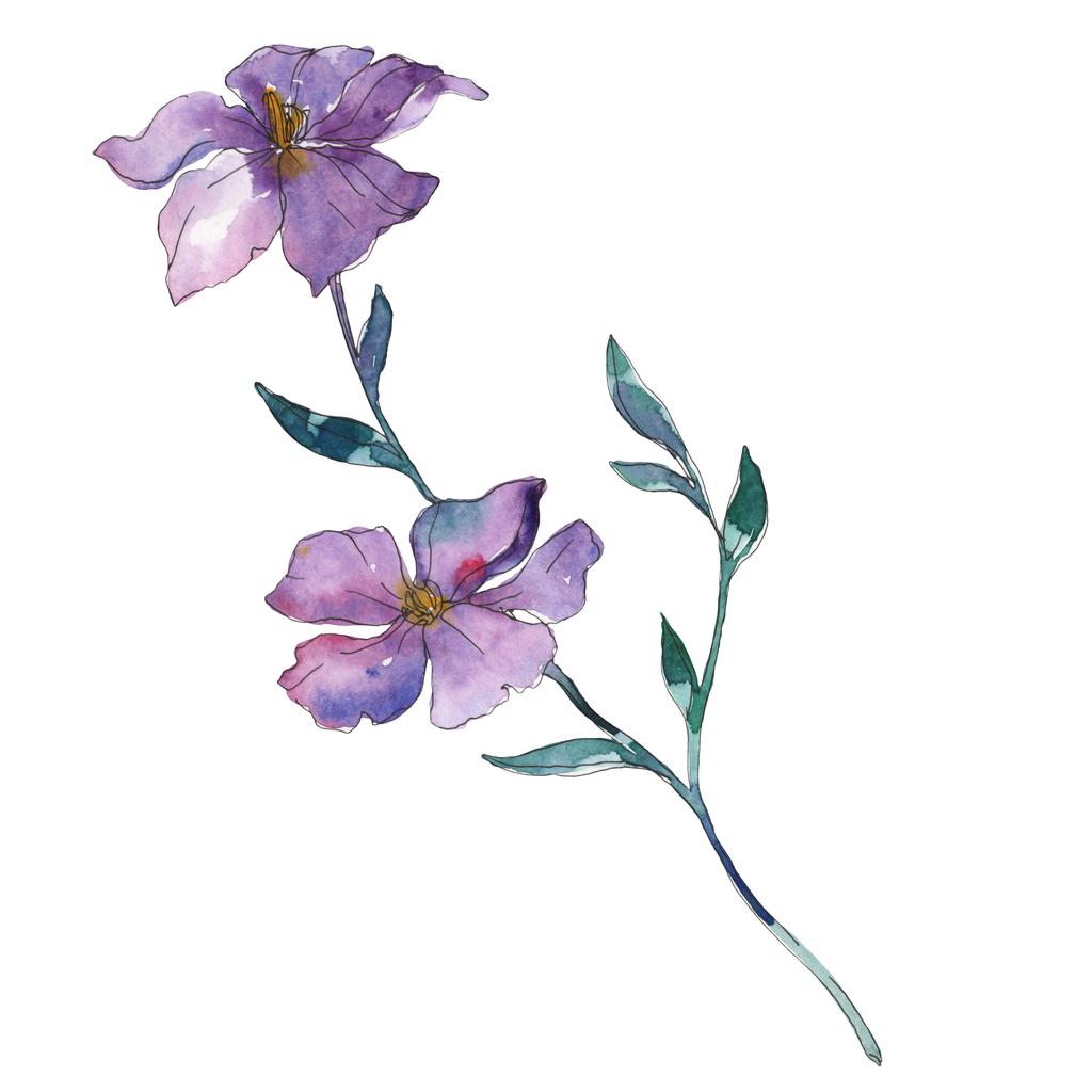 Kék és lila len virágos botanikai virág. Vad tavaszi levél vadvirág elszigetelt. Akvarell háttér illusztráció készlet. Akvarell rajz divat aquarelle. Elszigetelt len ábra elem. - Fotó, kép