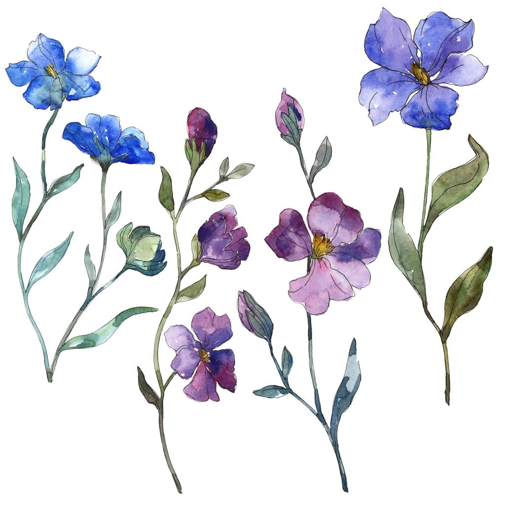 Blauw paarse vlas floral botanische bloem. Wild voorjaar blad wildflower geïsoleerd. Aquarel achtergrond afbeelding instellen. Aquarel tekenen mode aquarelle. Geïsoleerde vlas afbeelding element. - Foto, afbeelding