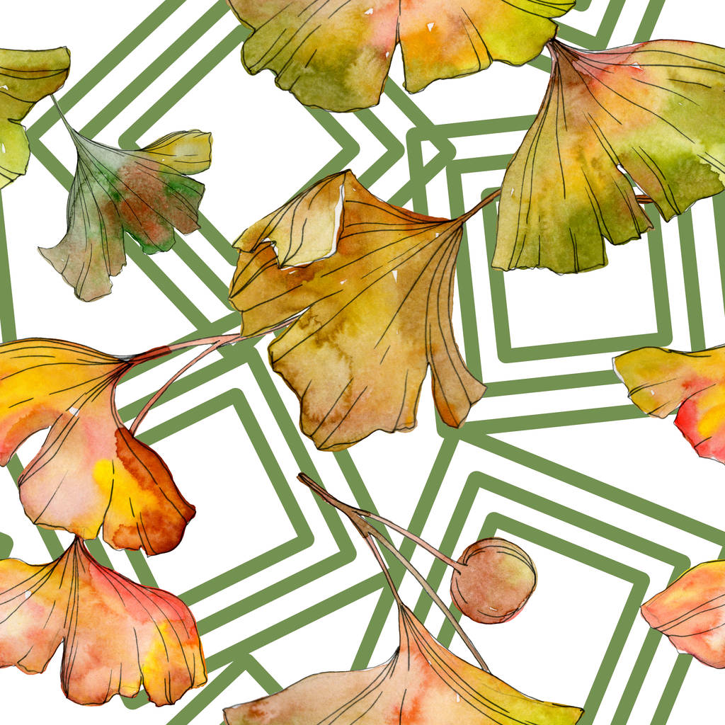 Πράσινο κίτρινο ginkgo biloba φύλλα φυτών βοτανικό φύλλωμα. Σετ ακουαρέλας εικονογράφηση. Ακουαρέλα σχεδίασης μόδας aquarelle απομονωμένη. Απρόσκοπτη υπόβαθρο μοτίβο. Ύφασμα ταπετσαρία υφή. - Φωτογραφία, εικόνα