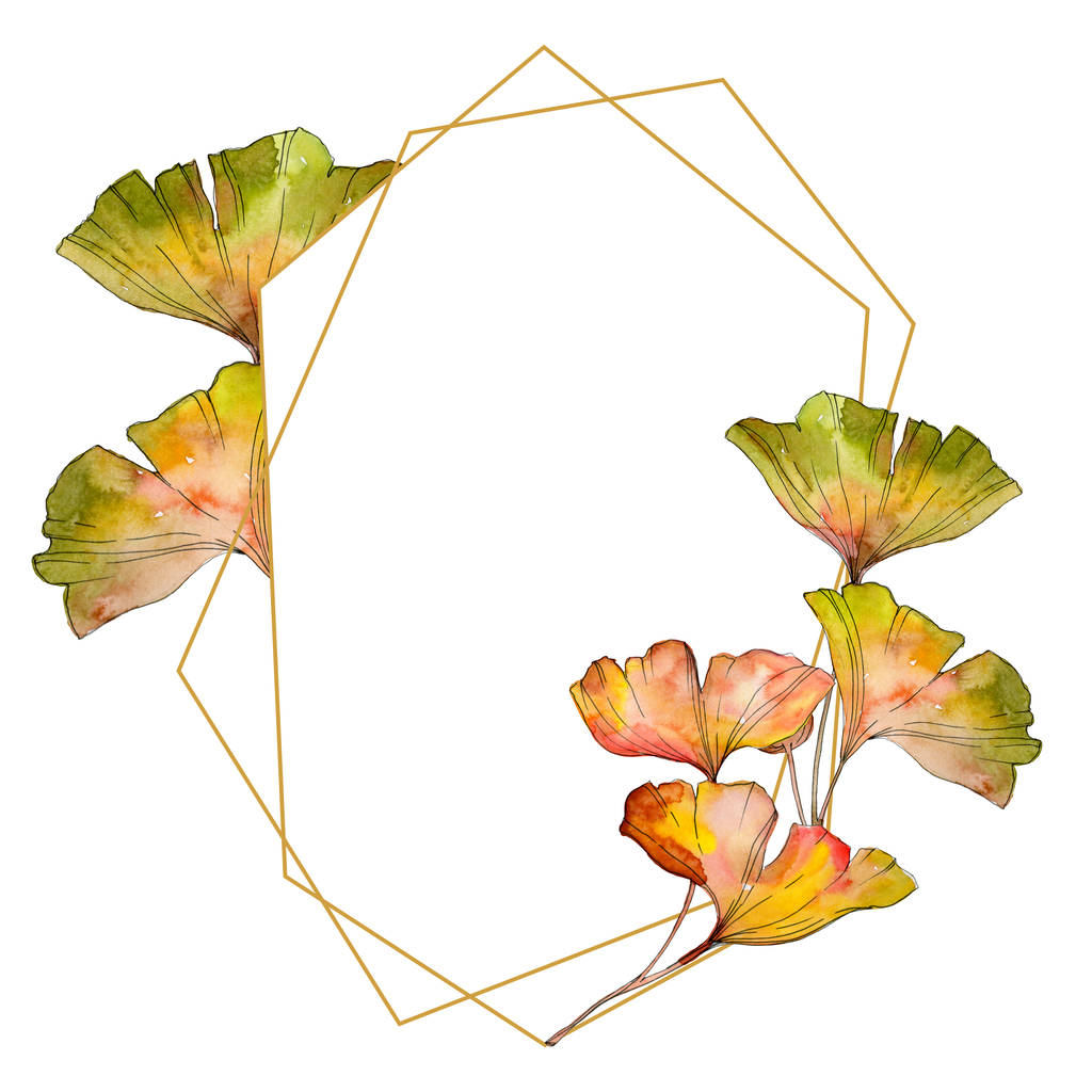Πράσινο κίτρινο ginkgo biloba φύλλα. Φύλλο φυτού Βοτανικός Κήπος floral φύλλωμα. Ακουαρέλα φόντο εικόνα σύνολο. Ακουαρέλα σχεδίασης μόδας aquarelle απομονωμένη. Πλαίσιο συνόρων στολίδι τετράγωνο. - Φωτογραφία, εικόνα