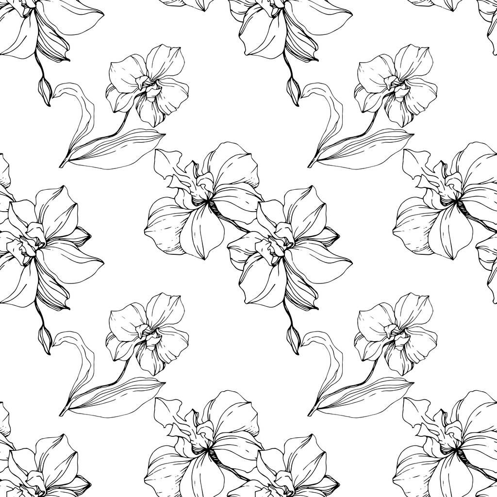 Orquídeas negras vectoriales aisladas en blanco. Patrón de fondo sin costuras. Textura de impresión de papel pintado de tela
. - Vector, Imagen