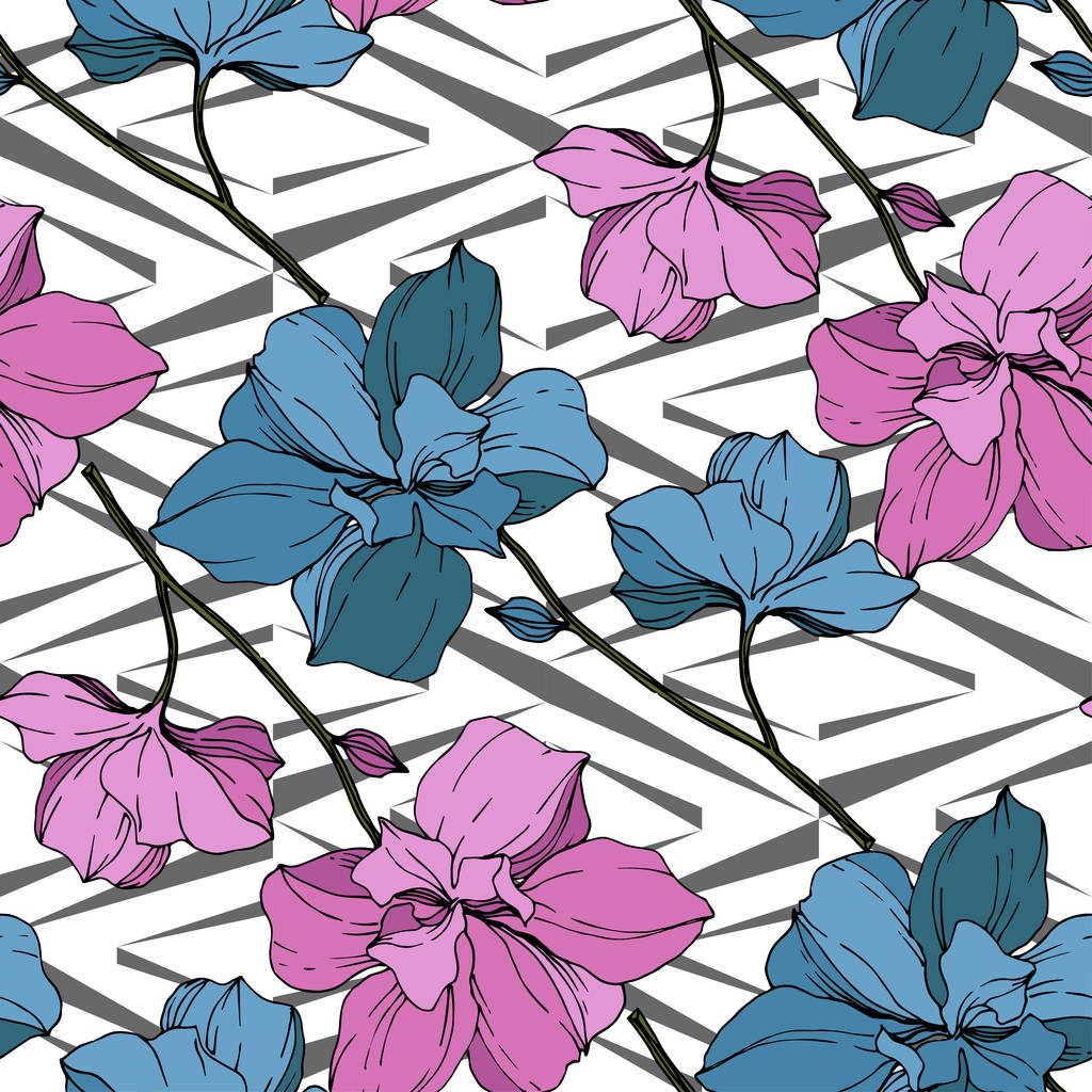 Vector orquídeas azules y rosadas sobre fondo geométrico blanco. Patrón de fondo sin costuras. Textura de impresión de papel pintado de tela
. - Vector, imagen