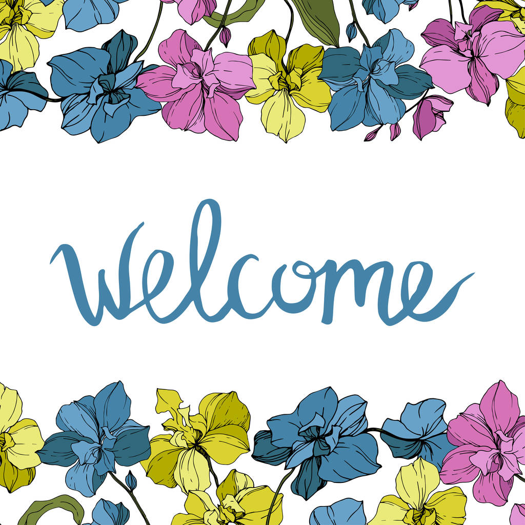 Orchidées vectorielles bleues, roses et jaunes isolées sur blanc. Cadre bordure ornement avec lettrage de bienvenue
. - Vecteur, image
