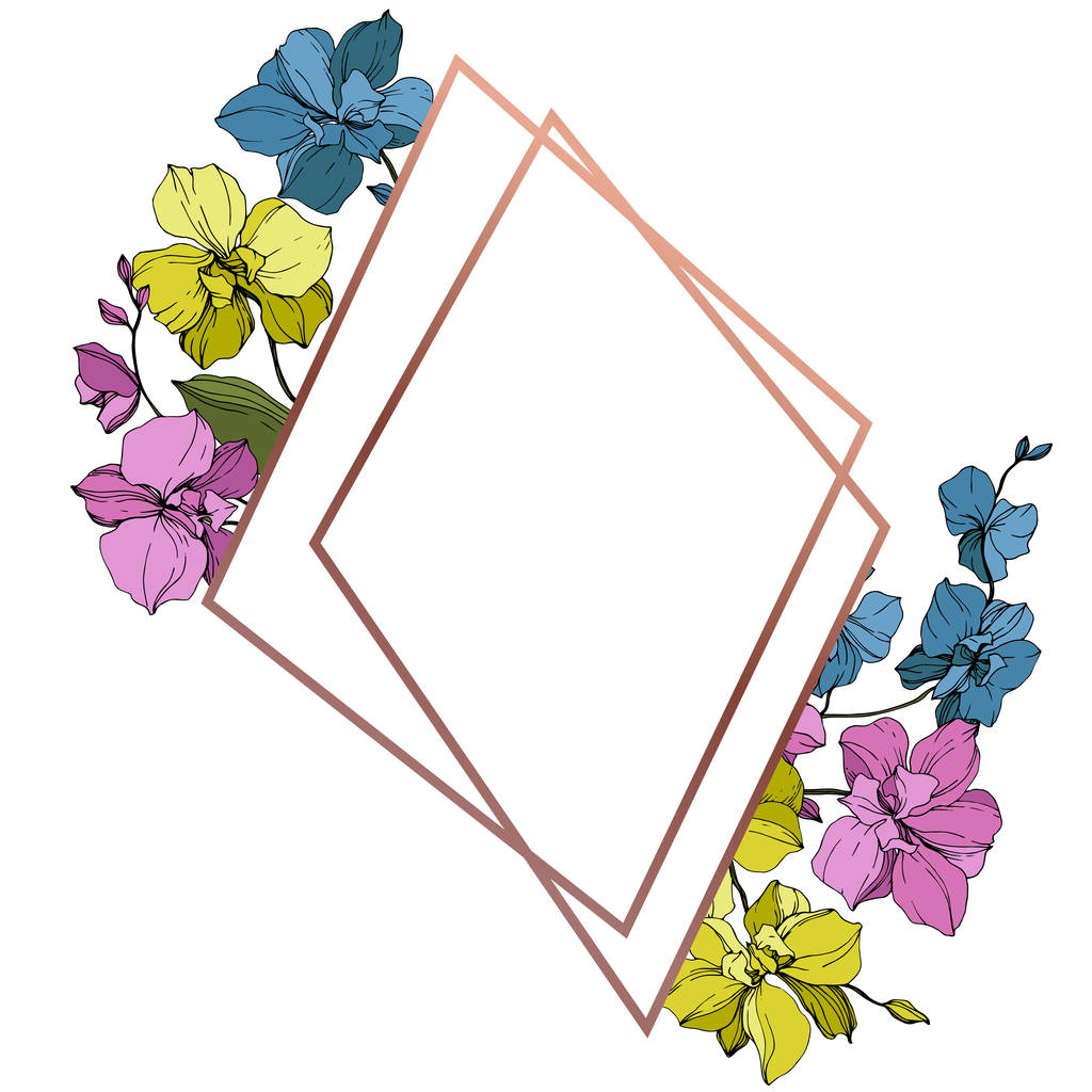 Vector blue, pink and yellow orchids isolated on white. Frame border ornament with copy space. - Vector, Image