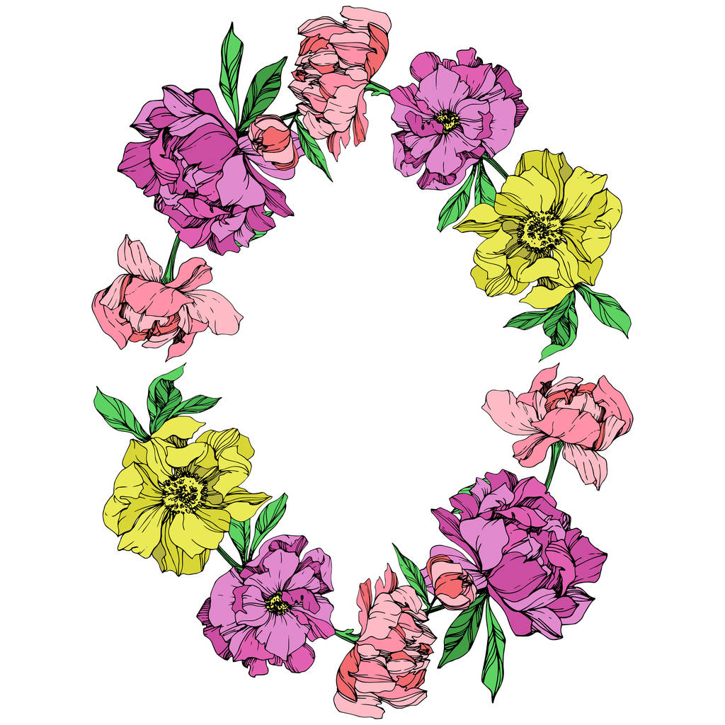 Vecteur isolé pivoines roses, violettes et jaunes avec des feuilles vertes sur fond blanc. Encre gravée. Cadre bordure ornement avec espace de copie
. - Vecteur, image