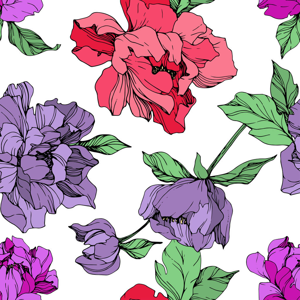 Vector purple and living coral isolated peonies illustration on white background. Engraved ink art. Seamless background pattern. Fabric wallpaper print texture. - Vector, Image