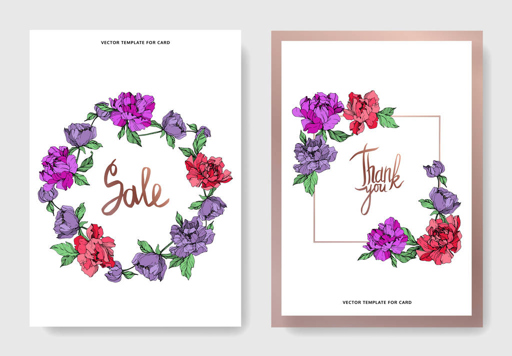 Vektor elegáns kártyák lila és élő korall pünkösdi rózsa, a fehér háttér és eladásra és köszönöm feliratok. - Vektor, kép