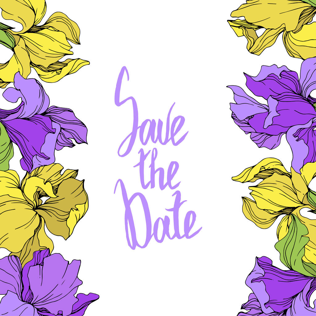Vector yellow and purple isolated irises illustration. Frame border ornament with save the date lettering. - Vector, Image