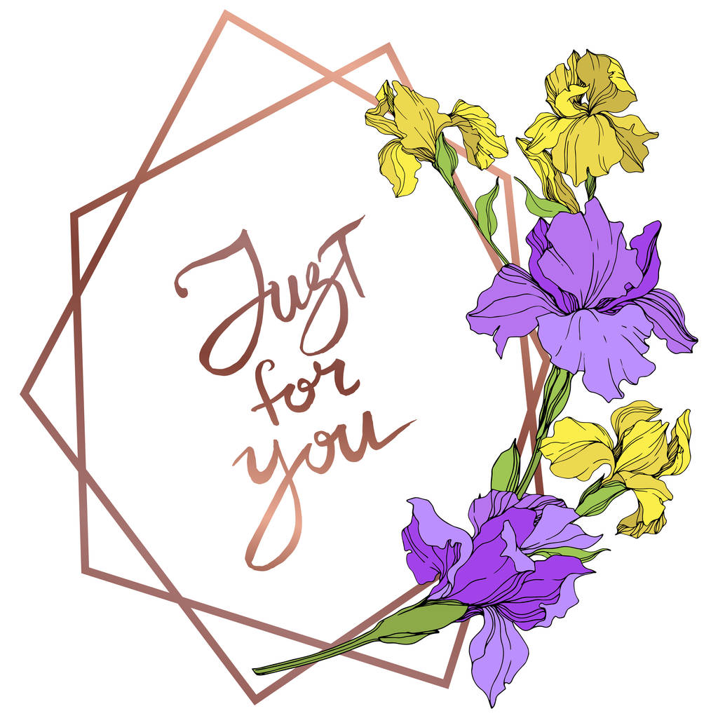 Vector yellow and purple isolated irises illustration. Frame border ornament with just for you lettering. - Vector, Image
