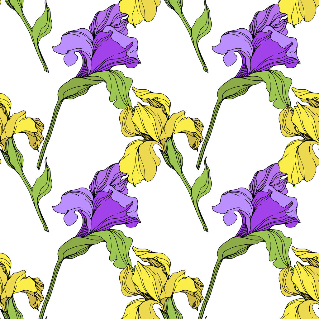 Vecteur isolé iris violet et jaune. Modèle de fond sans couture. Texture d'impression papier peint tissu
. - Vecteur, image
