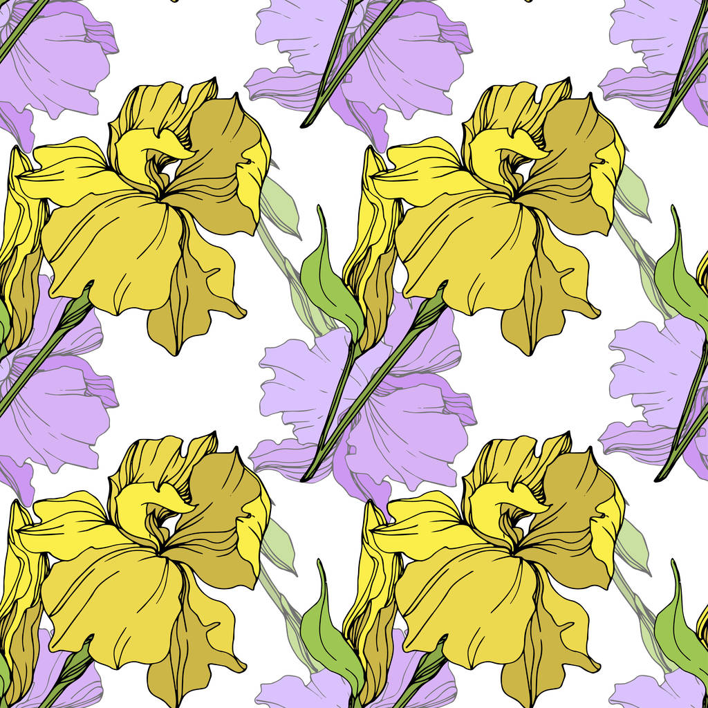 Vecteur isolé iris violet et jaune. Modèle de fond sans couture. Texture d'impression papier peint tissu
. - Vecteur, image