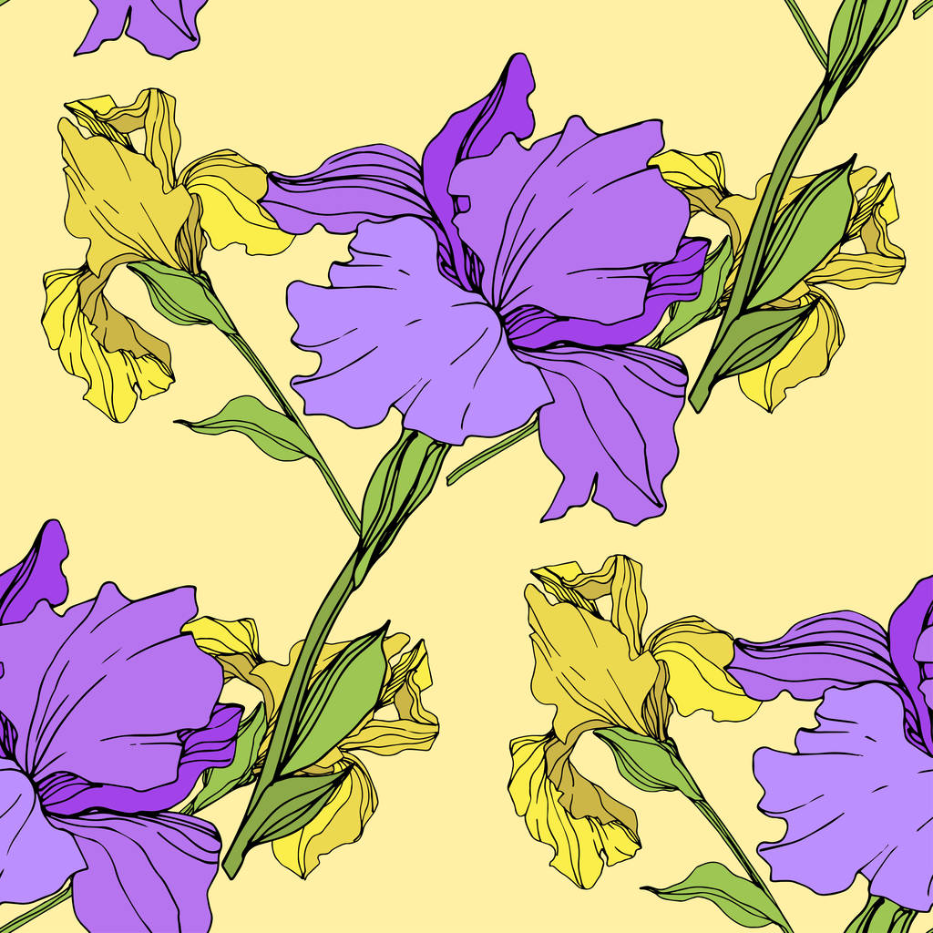Vektor isolierte lila und gelbe Schwertlilien. nahtlose Hintergrundmuster. Stoff Tapete drucken Textur. - Vektor, Bild