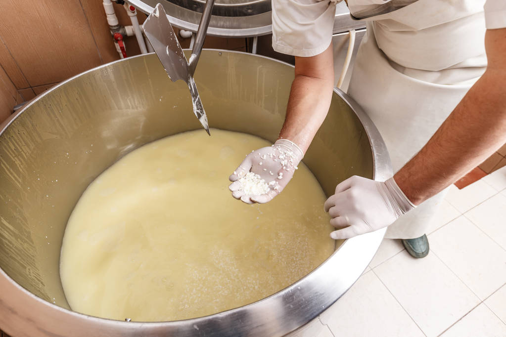 乳製品中の新鮮なチーズの生産  - 写真・画像