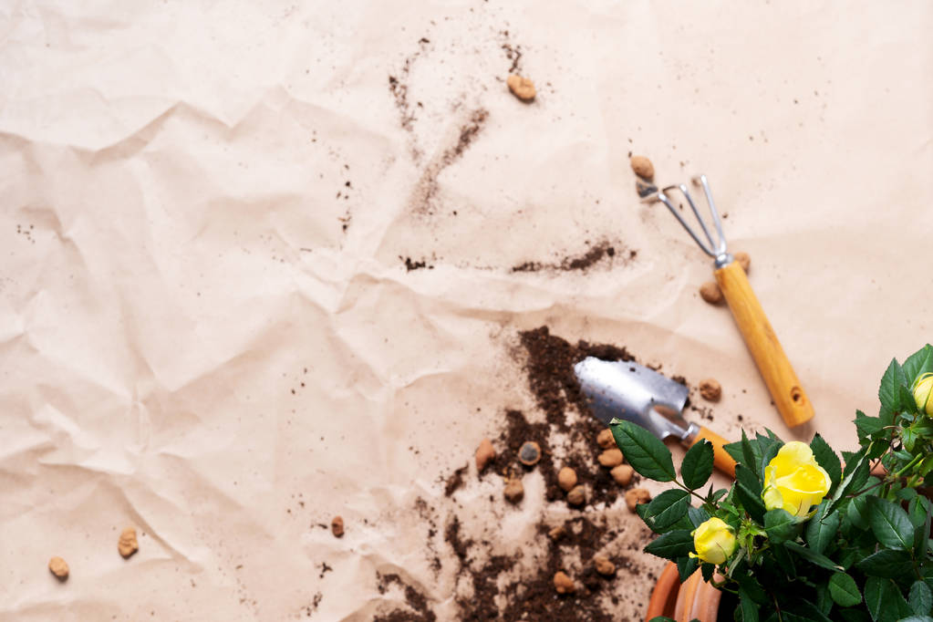 Cadre d'outils de jardinage avec mini roses en pot sur fond de papier artisanal
 - Photo, image